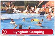 Lyngholt FamilieCamping